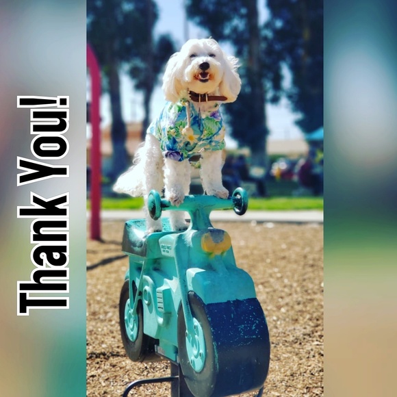 Meet your Posher, Luxury Divos - Picture 7 of 7